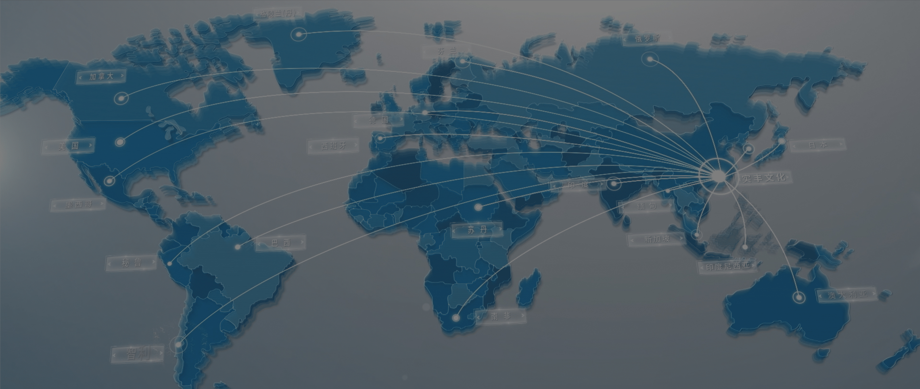 全球品牌区域化渗透方案